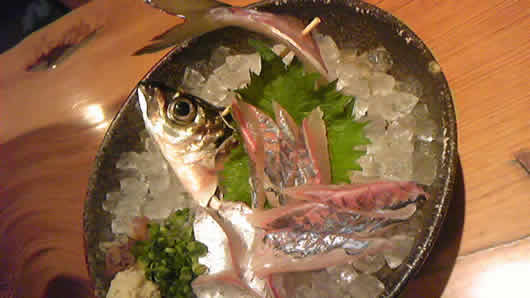 5-aji.jpg